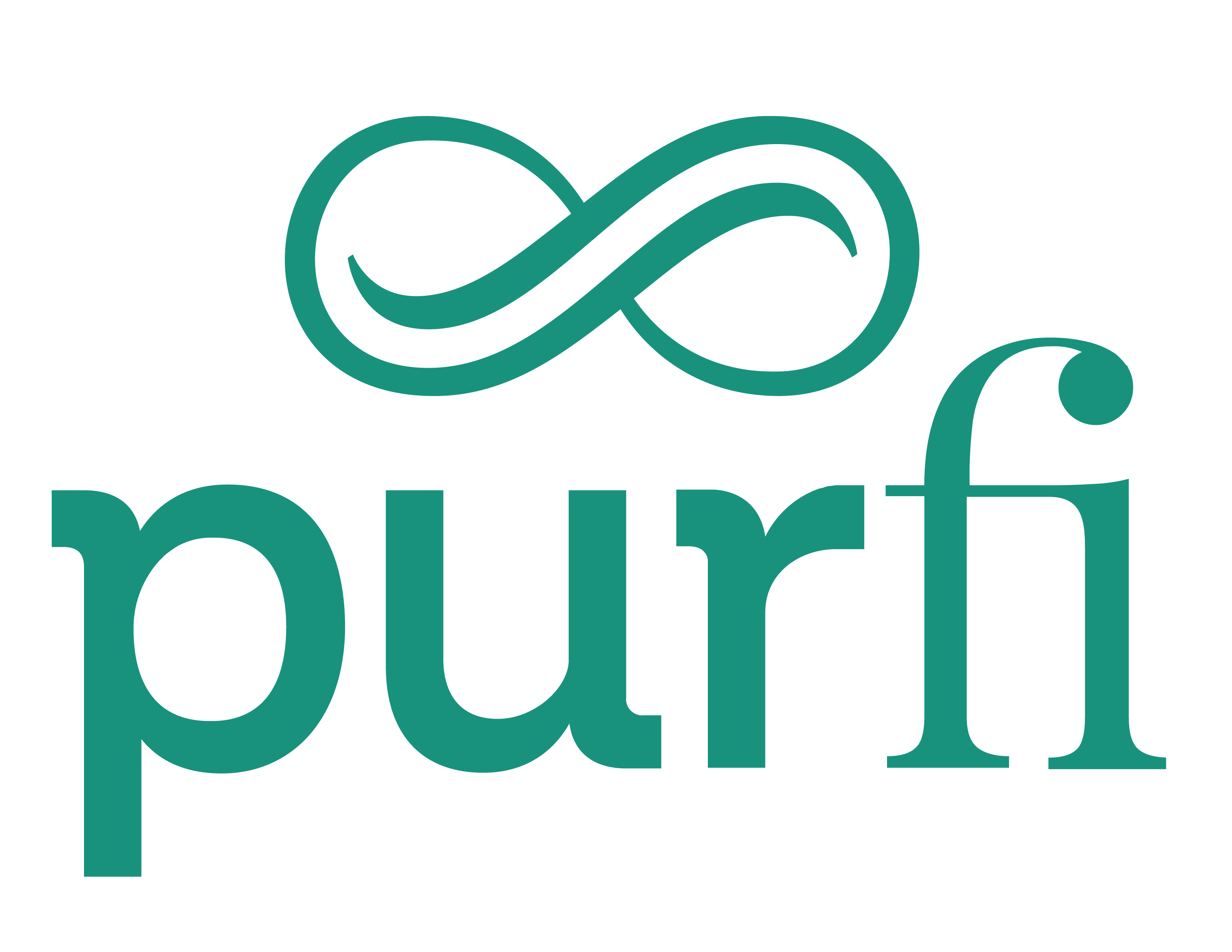 PurFi Logo